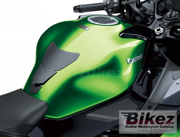 2022 Kawasaki Ninja H2 SX SE