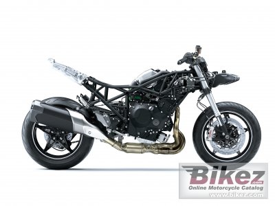 2022 Kawasaki Ninja H2 SX SE