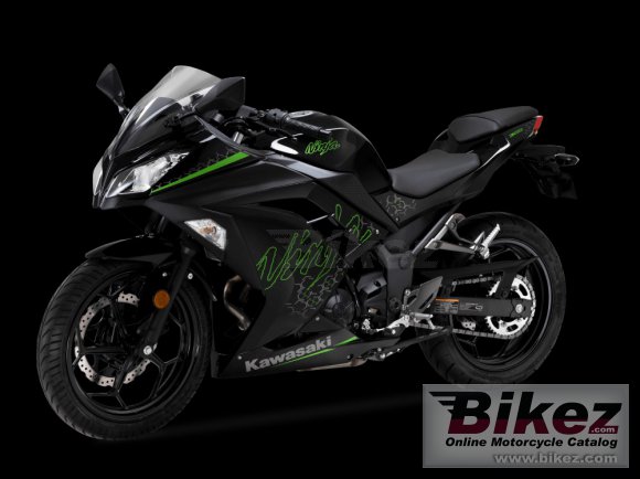 2022 Kawasaki Ninja 300