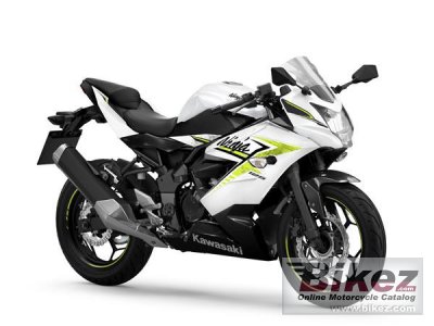 2022 Kawasaki Ninja 125 Performance