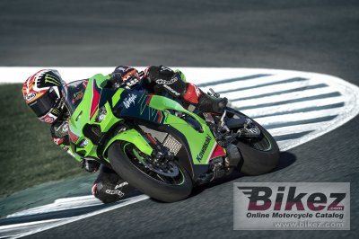 2023 Kawasaki Ninja ZX-10R