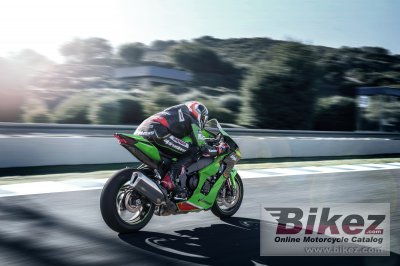 2023 Kawasaki Ninja ZX-10R