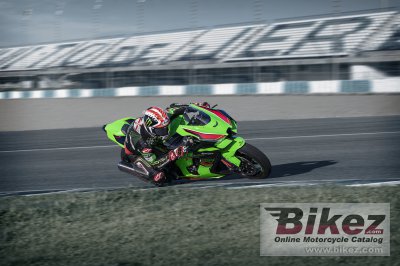2023 Kawasaki Ninja ZX-10R