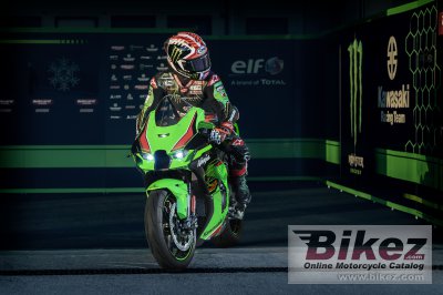 2023 Kawasaki Ninja ZX-10R