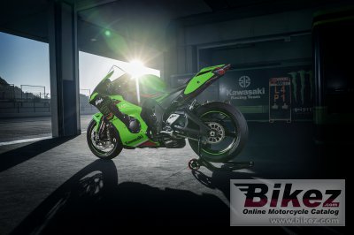 2023 Kawasaki Ninja ZX-10R
