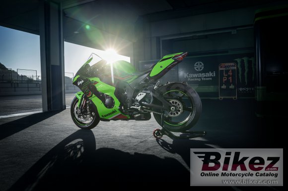 2023 Kawasaki Ninja ZX-10R