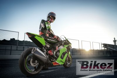 2023 Kawasaki Ninja ZX-10R