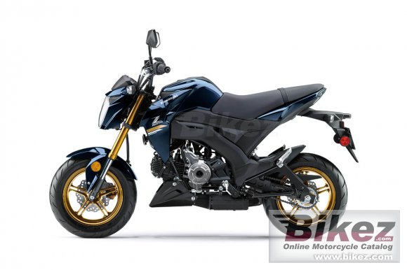 2023 Kawasaki Z125 Pro