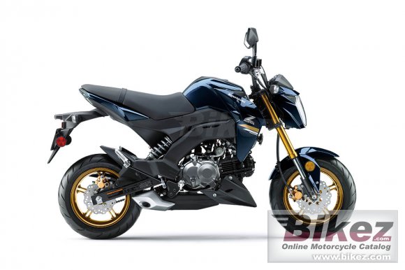 2023 Kawasaki Z125 Pro