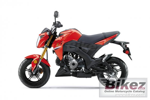 2023 Kawasaki Z125 Pro