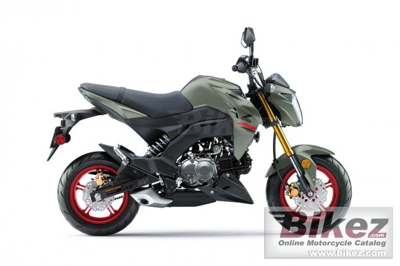 2023 Kawasaki Z125 Pro