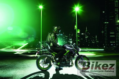 2023 Kawasaki Z900