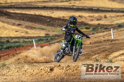 2023 Kawasaki KX65