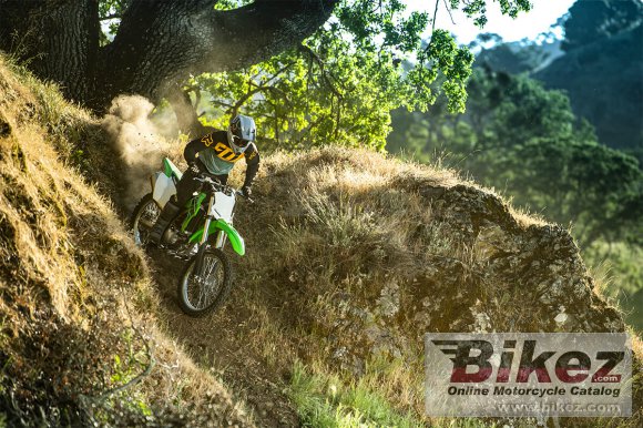 2023 Kawasaki KLX300R