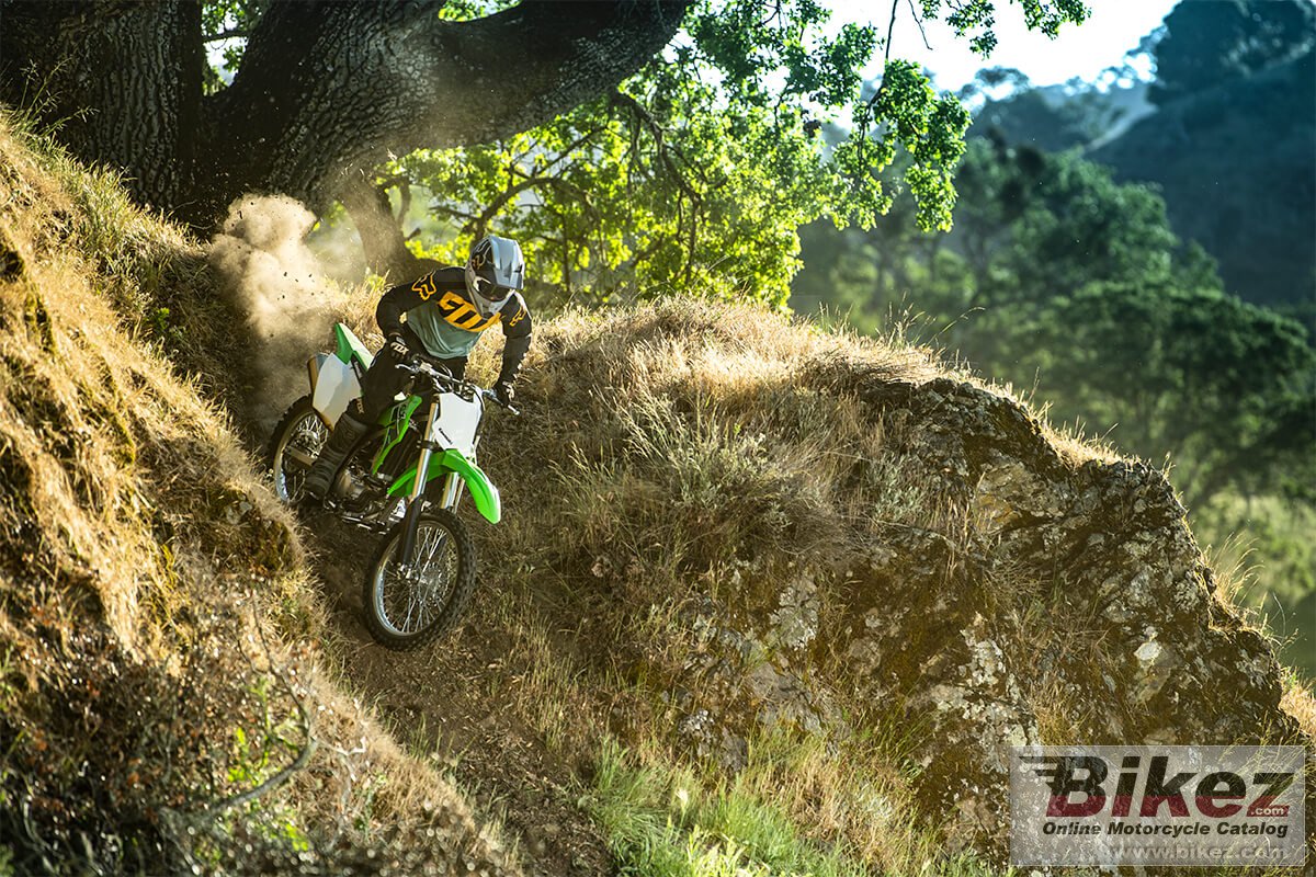 Kawasaki KLX300R