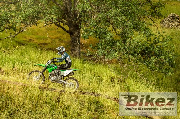 2023 Kawasaki KLX 230R S