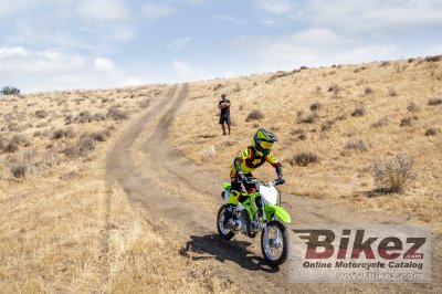 2023 Kawasaki KLX 110R 