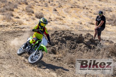2023 Kawasaki KLX 110R 