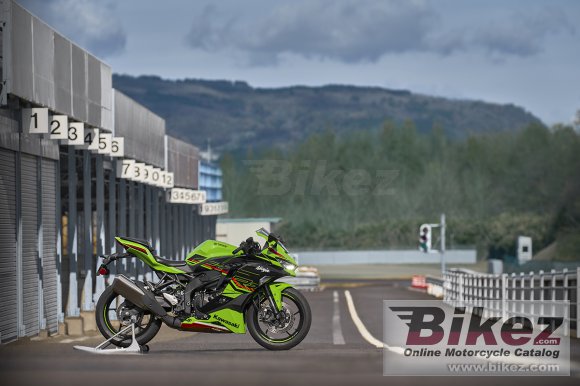 2023 Kawasaki Ninja ZX-4RR KRT