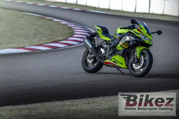 2023 Kawasaki Ninja ZX-4RR KRT