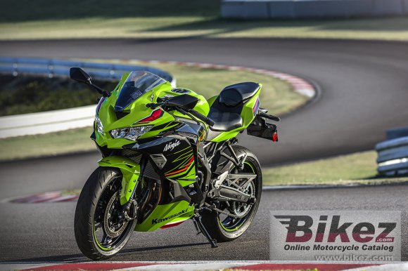 2023 Kawasaki Ninja ZX-4RR KRT