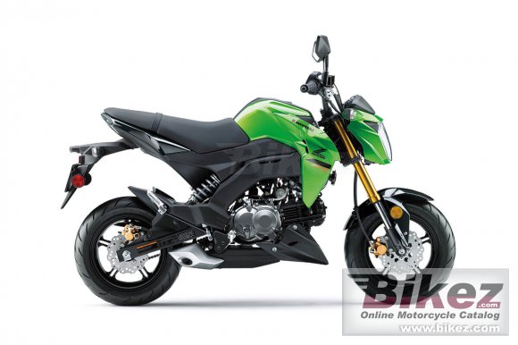 2024 Kawasaki Z125 Pro