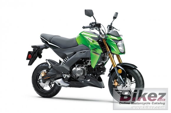 2024 Kawasaki Z125 Pro