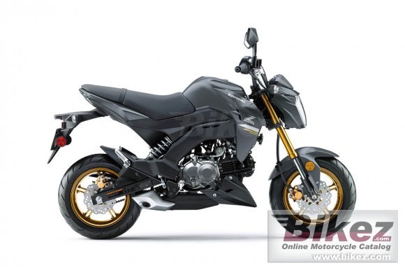 2024 Kawasaki Z125 Pro