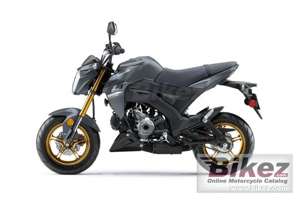 2024 Kawasaki Z125 Pro