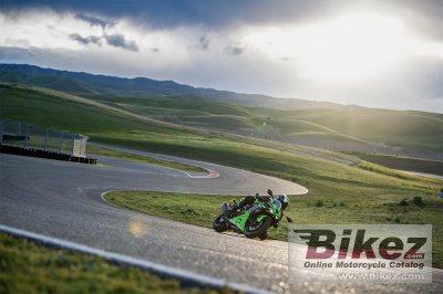 2024 Kawasaki Ninja ZX-6R KRT Edition