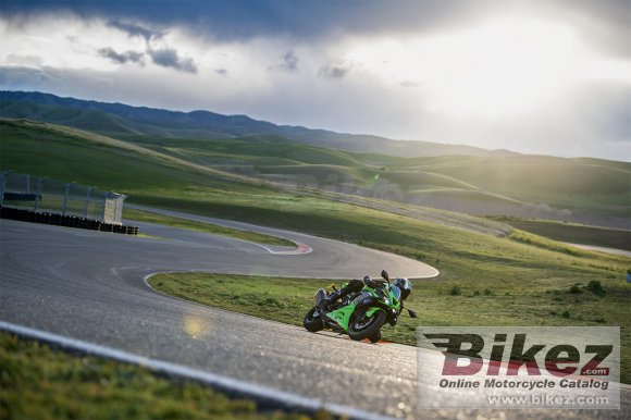 2024 Kawasaki Ninja ZX-6R KRT Edition