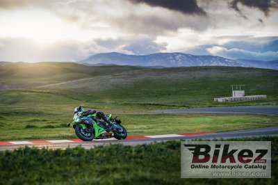 2024 Kawasaki Ninja ZX-6R KRT Edition