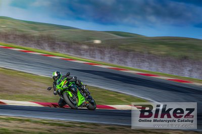 2024 Kawasaki Ninja ZX-6R KRT Edition