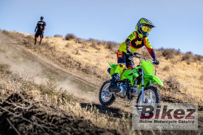 2024 Kawasaki KLX 110R 