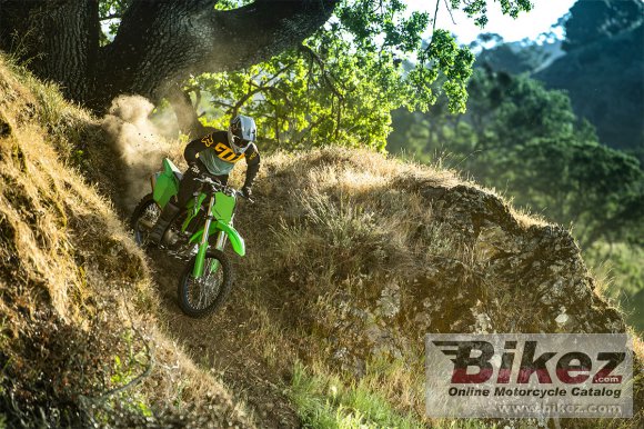 2024 Kawasaki KLX 300R