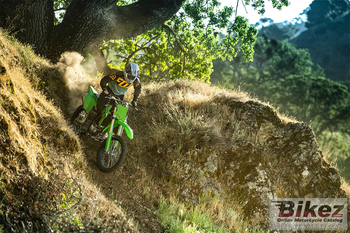 Kawasaki KLX 300R