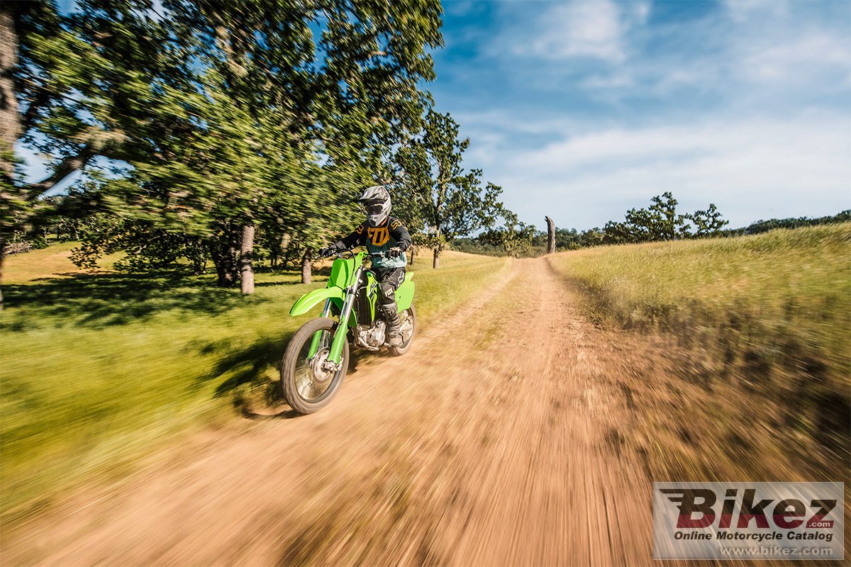 Kawasaki KLX 300R