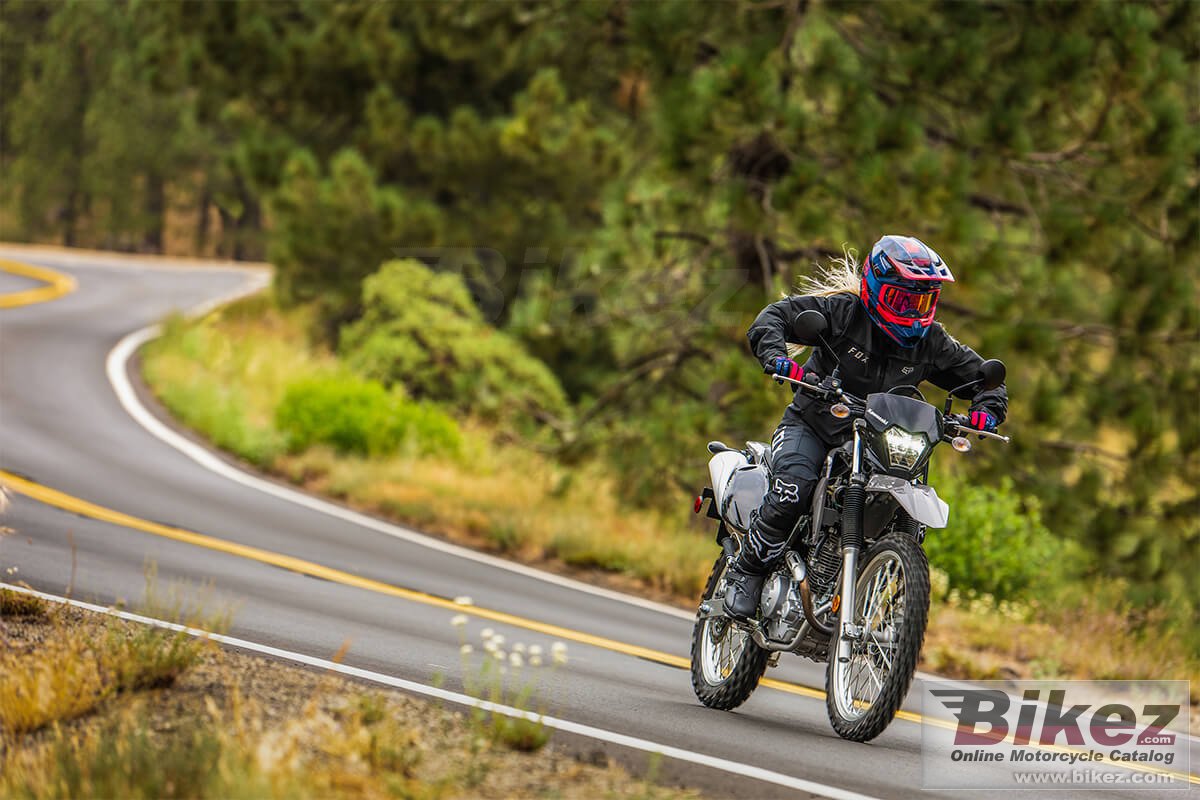 Kawasaki KLX230