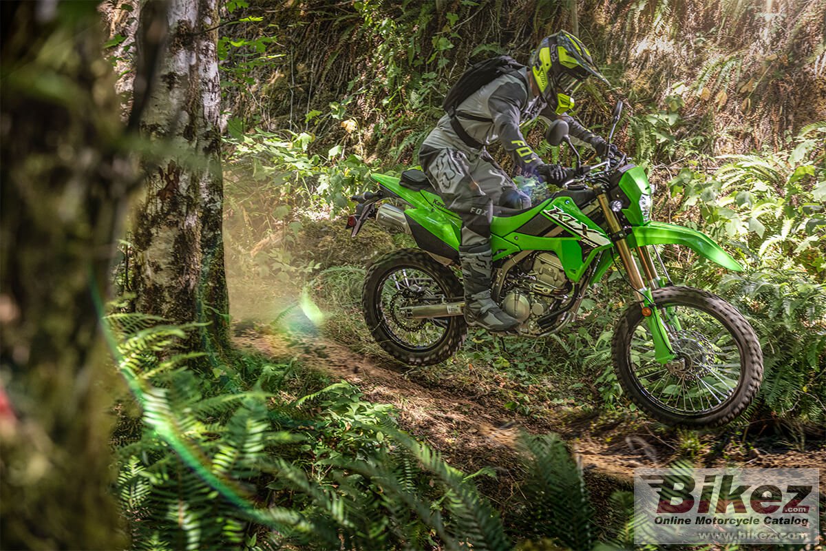 Kawasaki KLX300