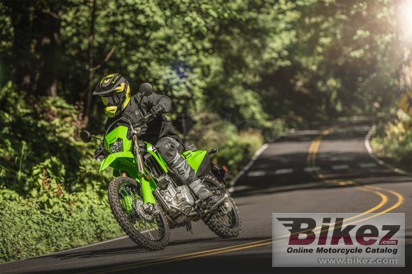 2024 Kawasaki KLX300