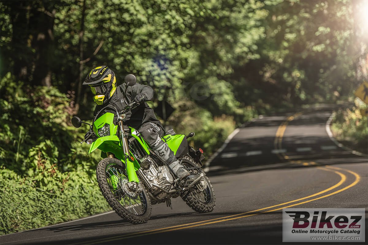 Kawasaki KLX300