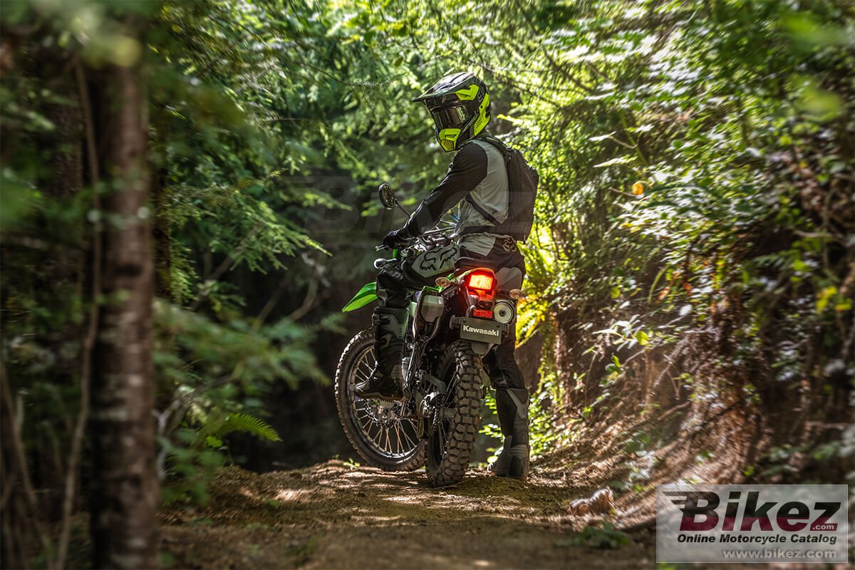 Kawasaki KLX300