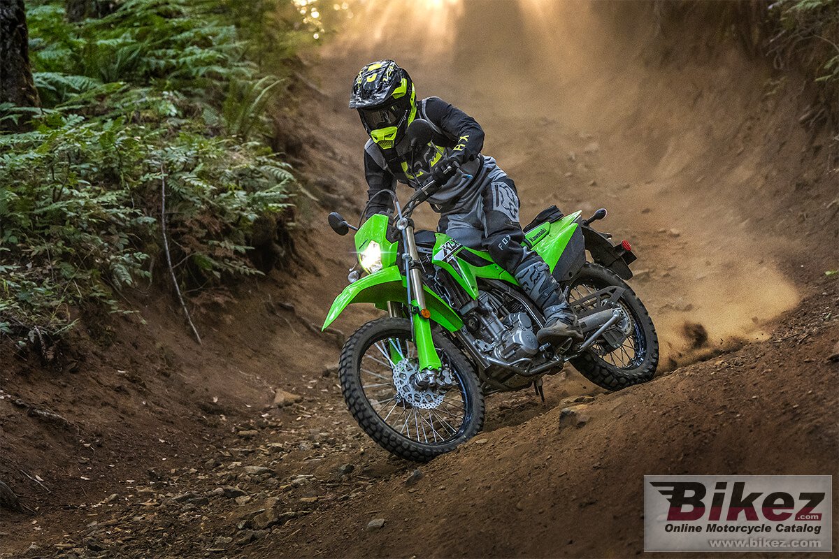 Kawasaki KLX300