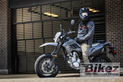 2024 Kawasaki KLX300 SM