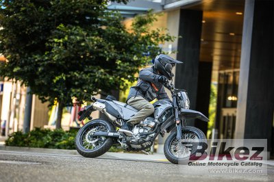 2024 Kawasaki KLX300 SM