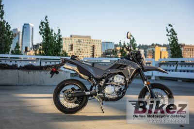 2024 Kawasaki KLX300 SM