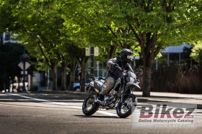 2024 Kawasaki KLX300 SM
