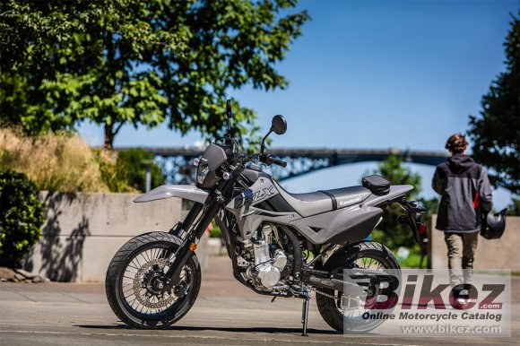 2024 Kawasaki KLX300 SM