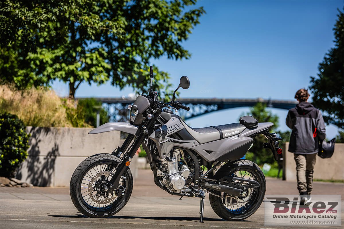 Kawasaki KLX300 SM