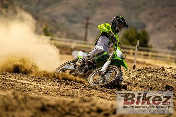 2024 Kawasaki KX250 50th Anniversay Edition